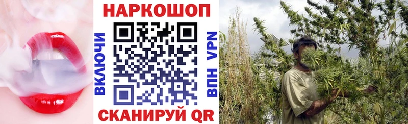 Купить наркоту Ленск A-PVP Меф ГАШ Галлюциногенные грибы Марихуана
