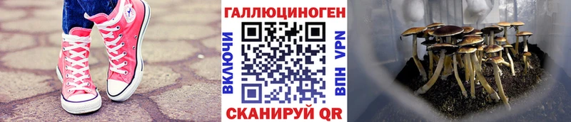 Псилоцибиновые грибы MAGIC MUSHROOMS  Ленск 